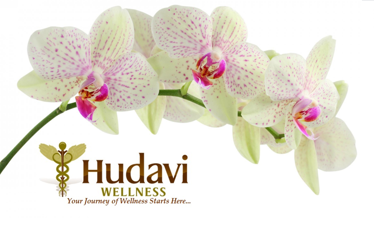Orchid Logo