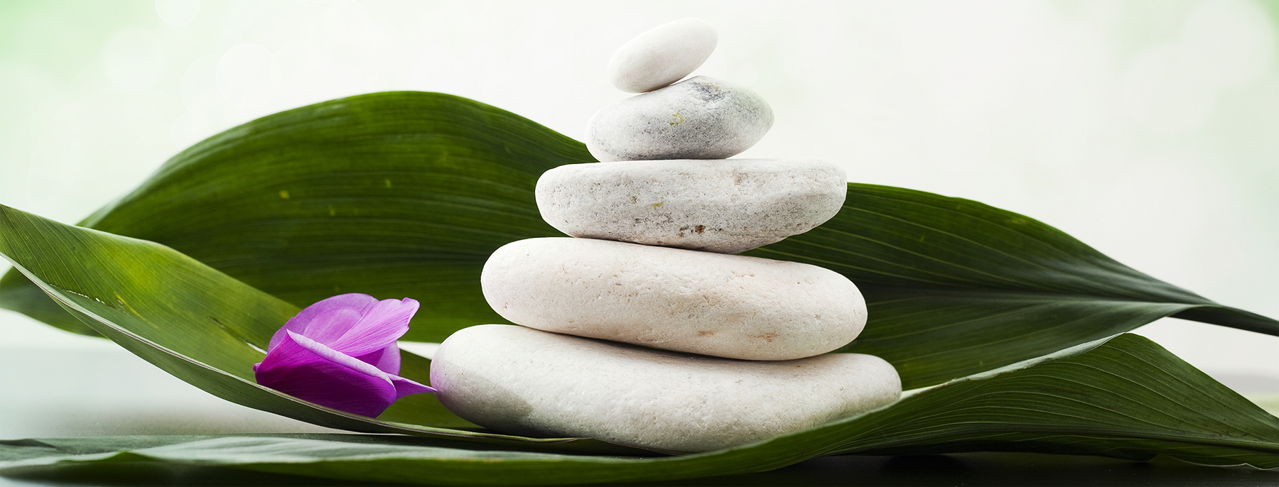 Pain relief & Obesity Specialist